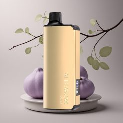 Alibarbar Ingot 9000 Puffs Fanta 22ml 2350mAh