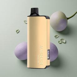 Alibarbar Ingot 9000 Puffs Menta Fresca 2350mAh 22ml